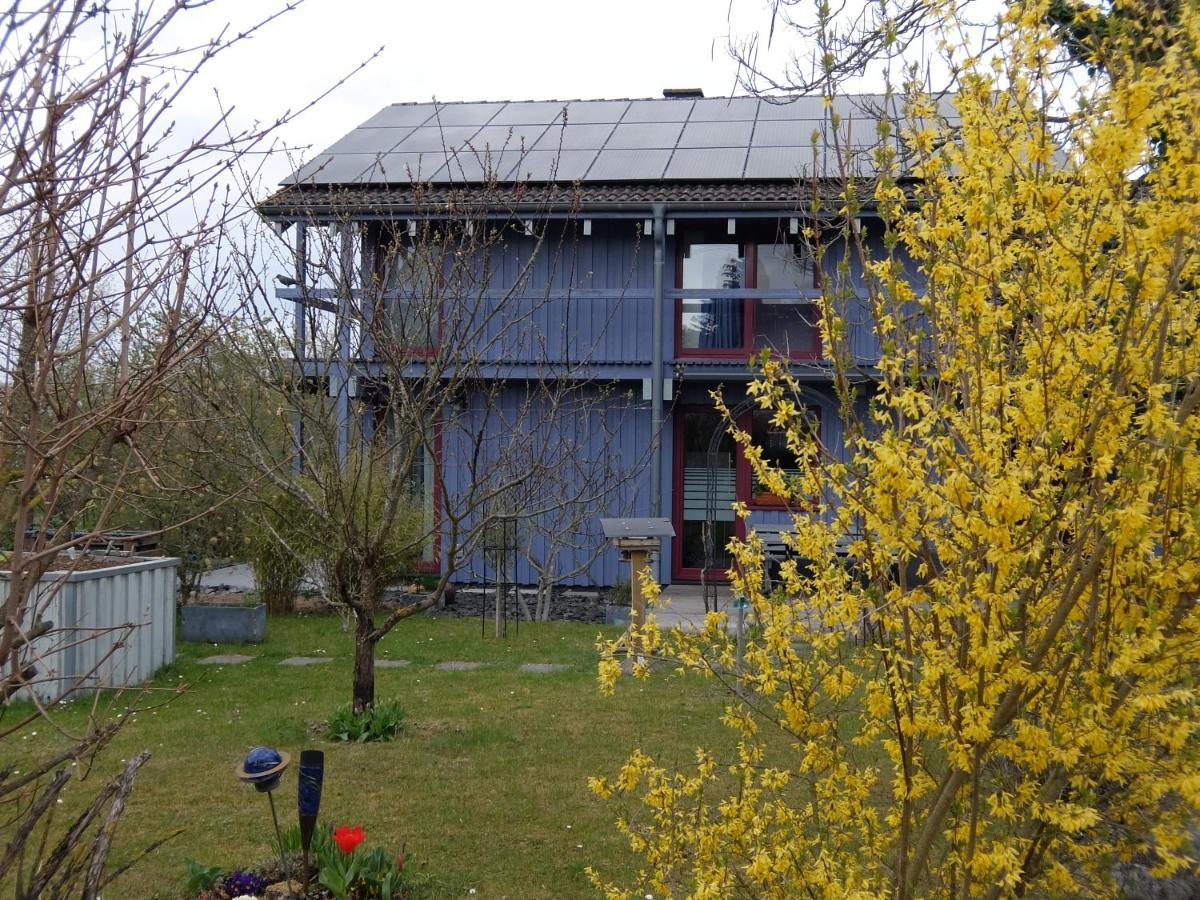 Blaues Haus - Une Maison Bleue Hetzerath Ngoại thất bức ảnh